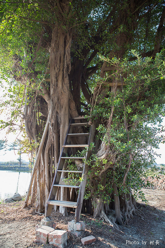 老塘湖藝術坊。草坔五路財神廟：【遊記】｛台南。學甲區｝仿古懷舊-老塘湖藝術坊