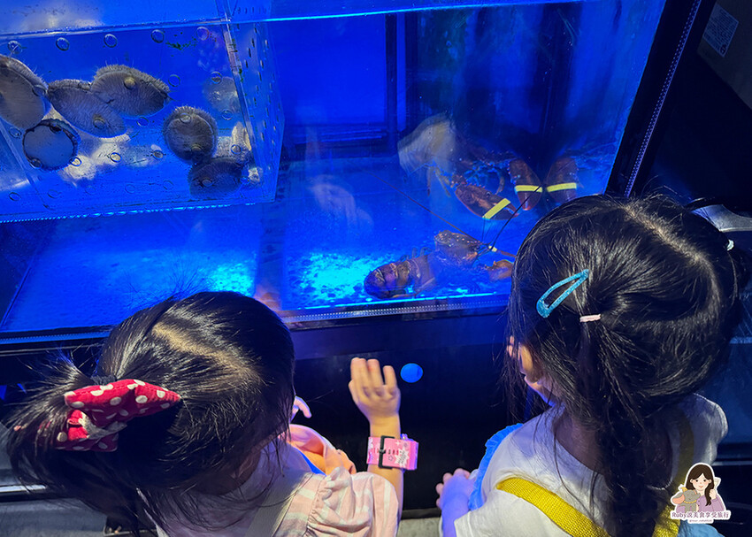 【晴光商圈美食】好食多涮涮屋-雙城店附菜單,大塊肉片、海鮮新