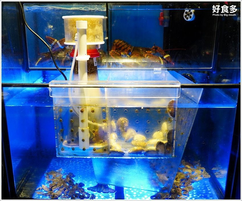 【台北美食】好食多涮涮鍋(雙城店)．超萌粉紅熊泡湯!四人份豪華海陸饗宴、超大肉盤、黃金海鮮船，飽到天靈蓋不誇張!