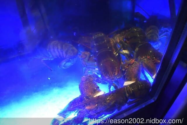 台北美食｜好食多涮涮鍋 雙城店 肉食控的火鍋天堂，雙人套餐免費招待肉品16oz 牛奶熊熊泡澡，好療癒～ -  就是這樣。吃喝玩樂。愛漂亮部落格 - FashionGuide 華人時尚專業評鑑