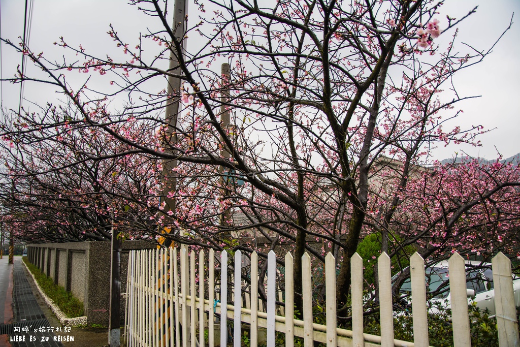 DSC_6910.jpg DSC_6910.jpg