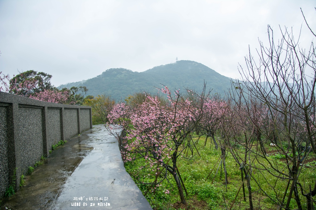 DSC_6921.jpg DSC_6921.jpg