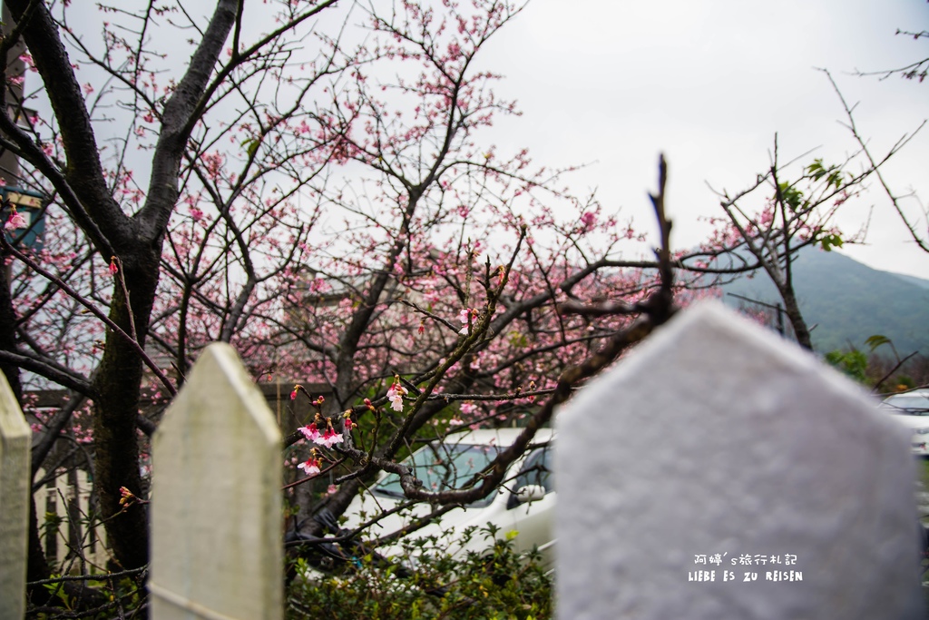 DSC_6912.jpg DSC_6912.jpg