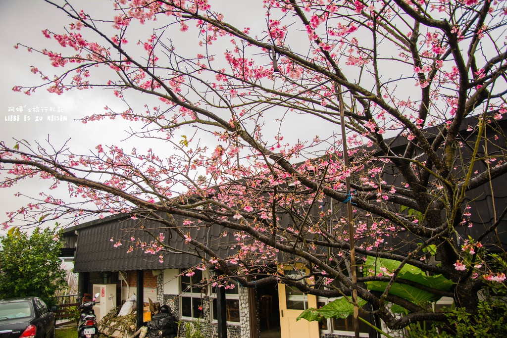 DSC_6905.jpg DSC_6905.jpg