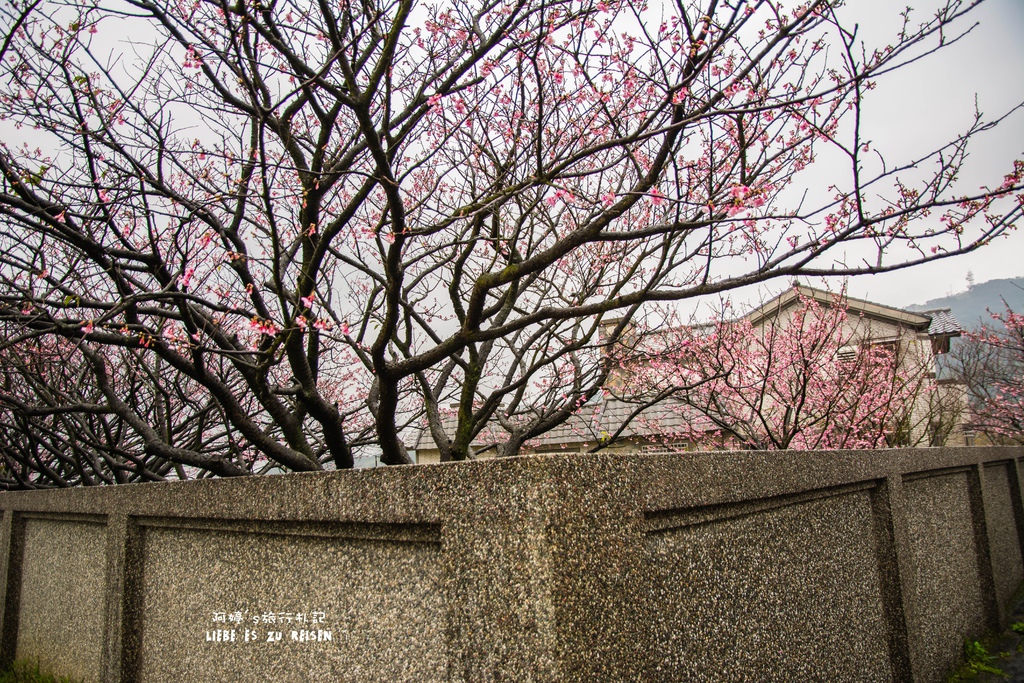 DSC_6914.jpg DSC_6914.jpg