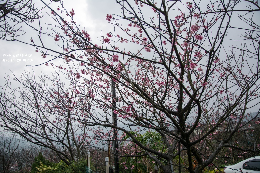 DSC_6919.jpg DSC_6919.jpg