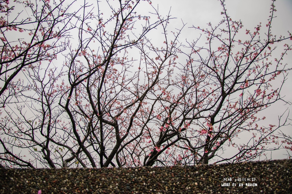 DSC_6915.jpg DSC_6915.jpg