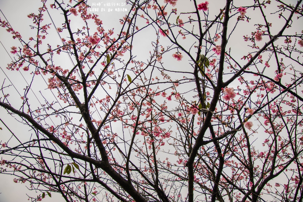 DSC_6907.jpg DSC_6907.jpg