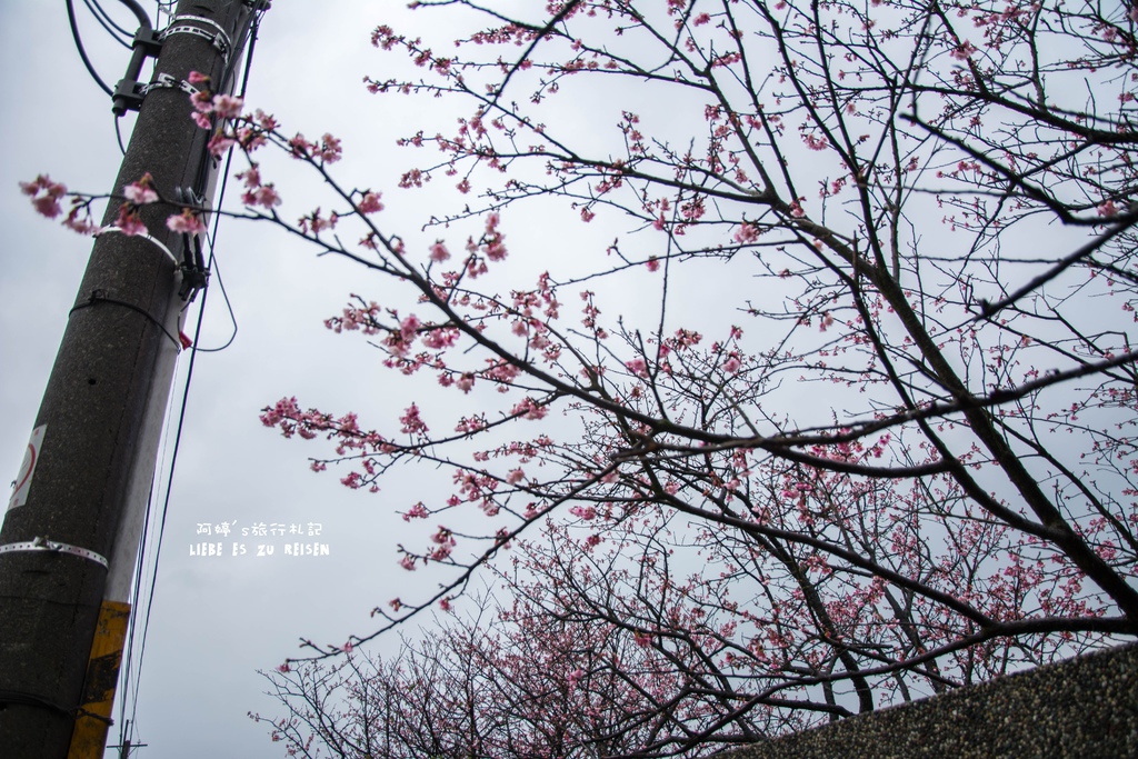 DSC_6931.jpg DSC_6931.jpg