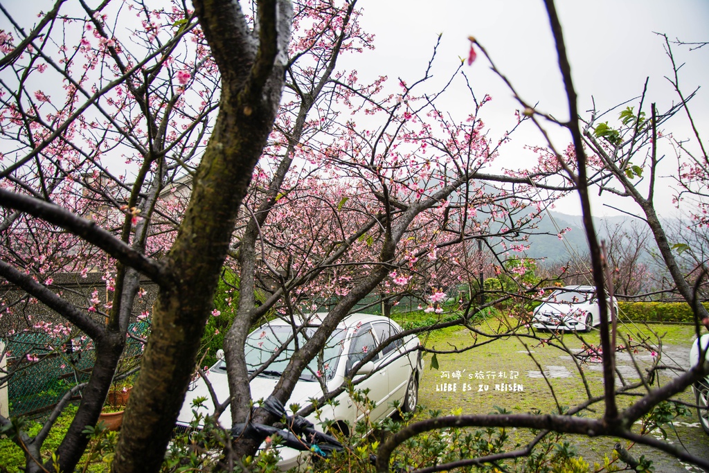 DSC_6913.jpg DSC_6913.jpg