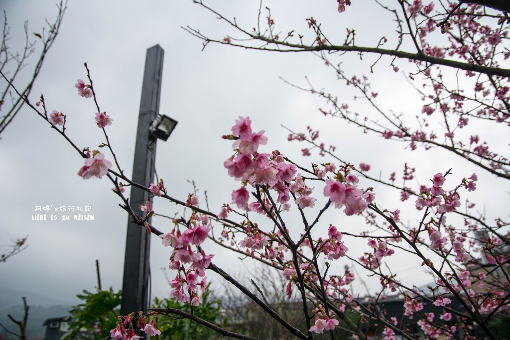 DSC_6920.jpg DSC_6920.jpg