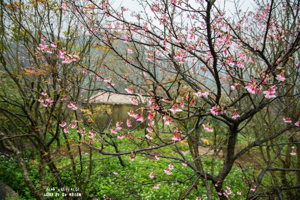 DSC_6925.jpg DSC_6925.jpg