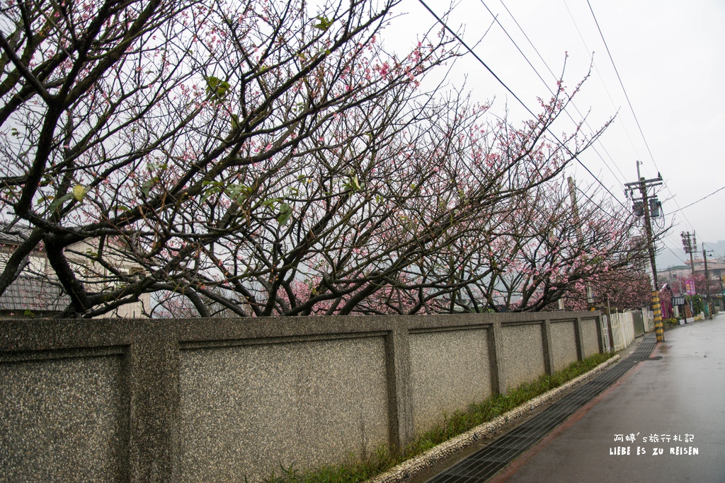 DSC_6933.jpg DSC_6933.jpg