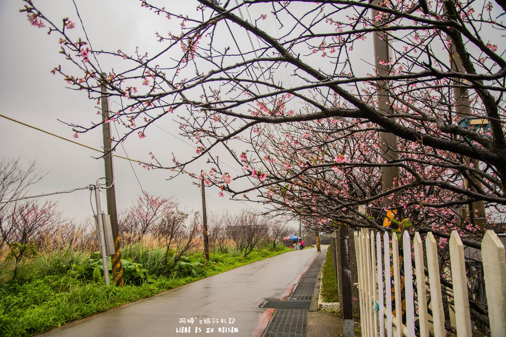 DSC_6911.jpg DSC_6911.jpg