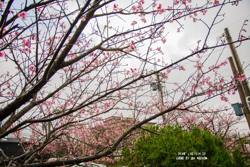 DSC_6916.jpg DSC_6916.jpg