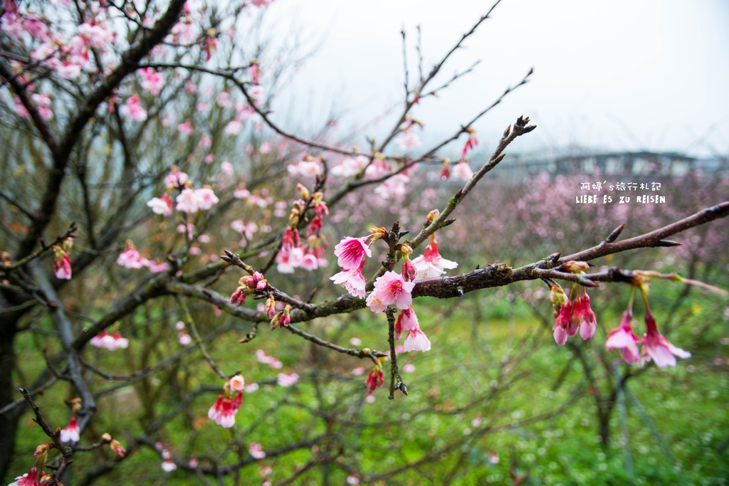 DSC_6926.jpg DSC_6926.jpg