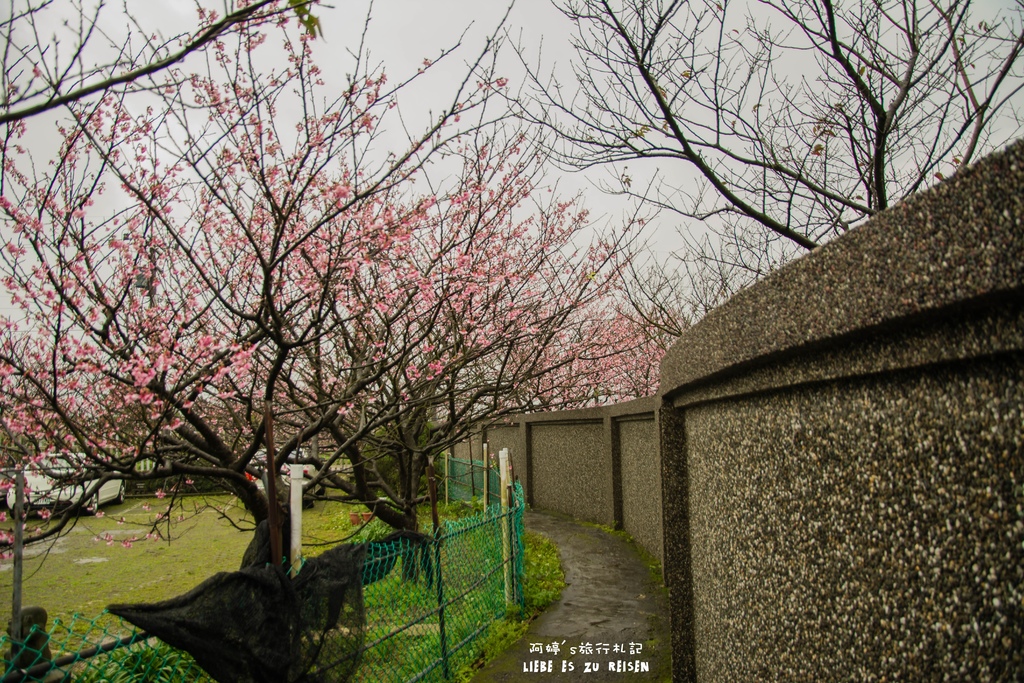 DSC_6928.jpg DSC_6928.jpg