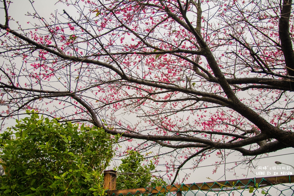 DSC_6898.jpg DSC_6898.jpg