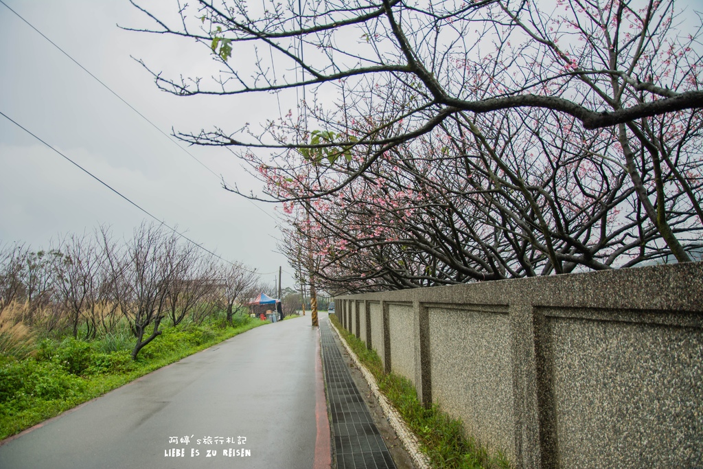 DSC_6929.jpg DSC_6929.jpg