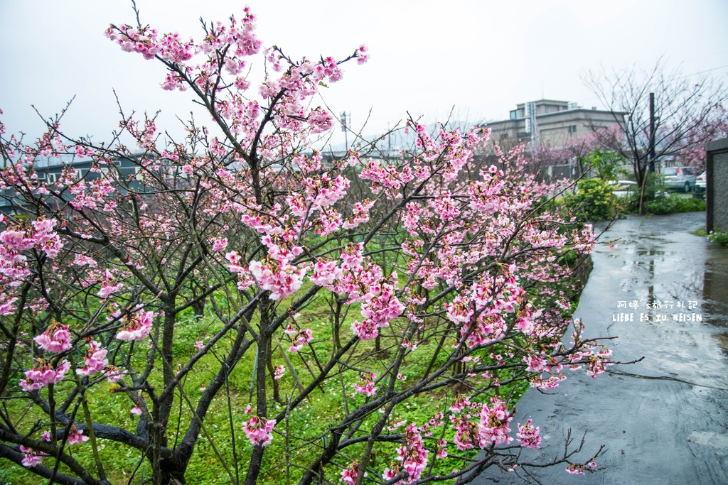 DSC_6927.jpg DSC_6927.jpg