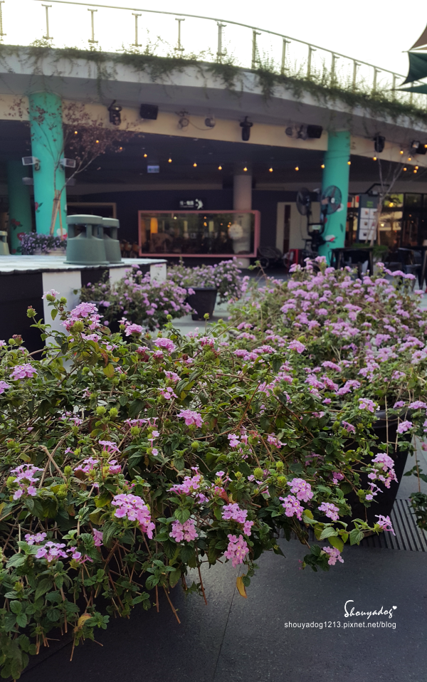 草悟廣場:【觀光景點】好逛好玩又好拍的草悟廣場 in台中