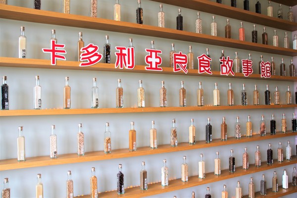 卡多利亞良食故事館:【台南後壁景點】卡多利亞良食故事館~便當工廠飄滿滷肉香,兒童遊樂設施,在地食材的歐式自助餐吃到飽