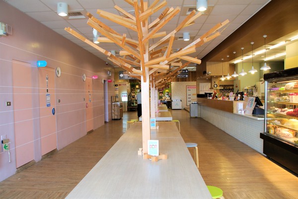 卡多利亞良食故事館:【台南後壁景點】卡多利亞良食故事館~便當工廠飄滿滷肉香,兒童遊樂設施,在地食材的歐式自助餐吃到飽