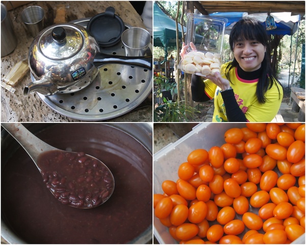 2015新春第一露-後灣阿拱屋，射箭、吹箭、彈弓一次玩個夠