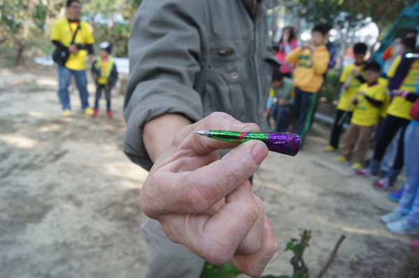 2015新春第一露-後灣阿拱屋，射箭、吹箭、彈弓一次玩個夠