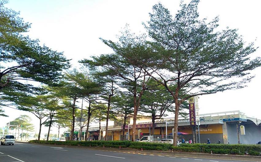 找樂子積木咖啡。隱藏巷弄內的樂高積木主題餐廳，推薦樂高迷必訪，台中友善親子餐廳 - 蘋果話日常