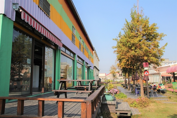 巫家捏麵館：【彰化溪湖景點】巫家捏麵館~搭小火車欣賞整排落羽松，體驗DIY手作樂趣的親子遊