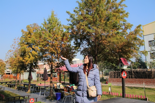 巫家捏麵館：【彰化溪湖景點】巫家捏麵館~搭小火車欣賞整排落羽松，體驗DIY手作樂趣的親子遊