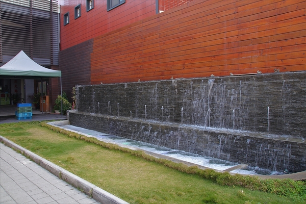 巫家捏麵館：【彰化溪湖景點】巫家捏麵館~搭小火車欣賞整排落羽松，體驗DIY手作樂趣的親子遊