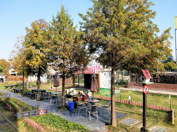 巫家捏麵館：【彰化溪湖景點】巫家捏麵館~搭小火車欣賞整排落羽松，體驗DIY手作樂趣的親子遊