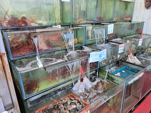 墾丁後壁湖 邱家生魚片 (9).jpg - 邱家生魚片