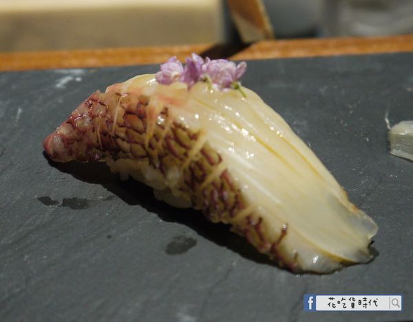 日本真鯛 日本真鯛