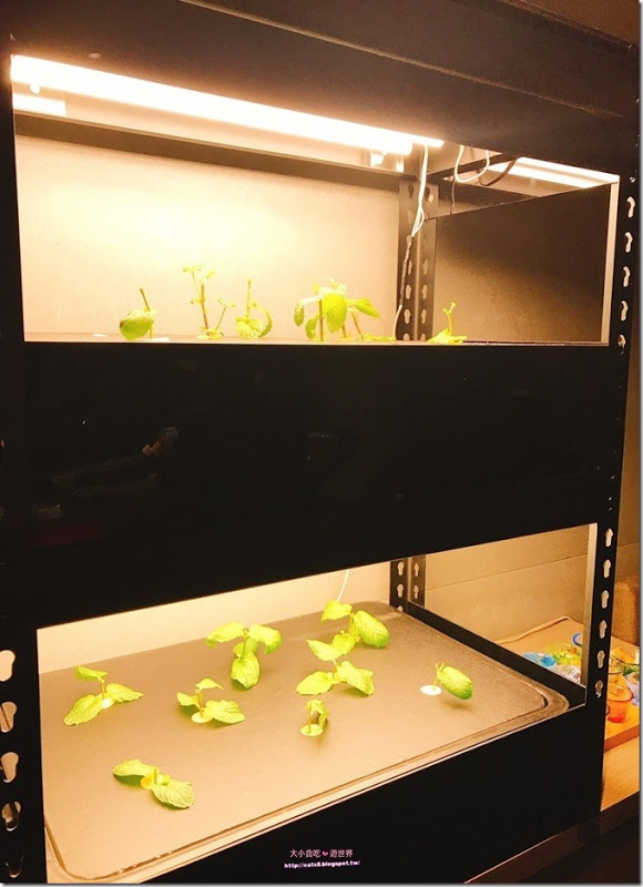 20170509_170509_0018