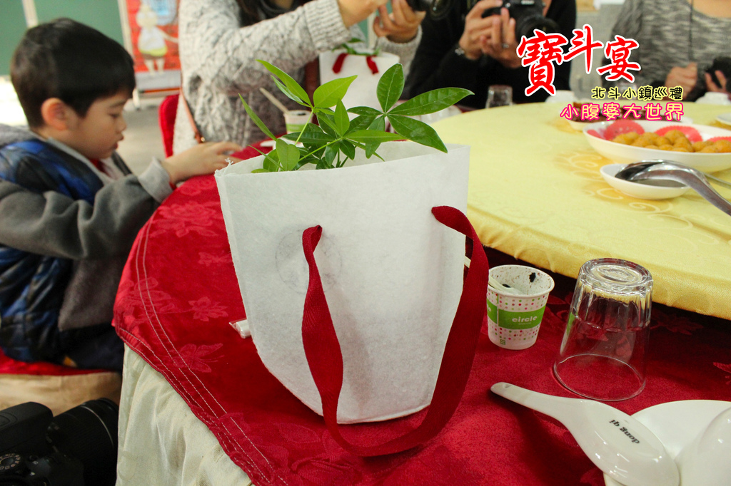 照片 446.jpg 照片 446.jpg