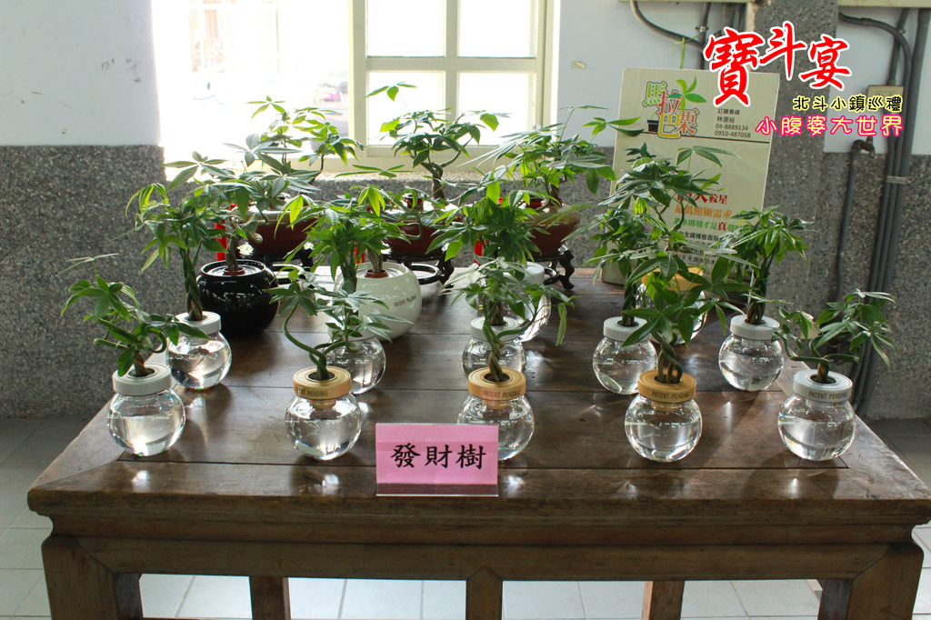 照片 229.jpg 照片 229.jpg