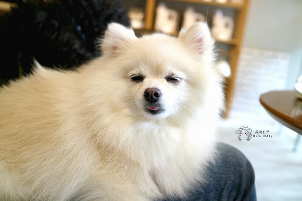 cm20170413___21658feb11845f031bfccd056e6