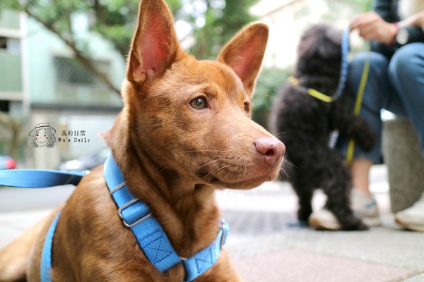 cm20170413___12f150e8c7058f6df918c29f895