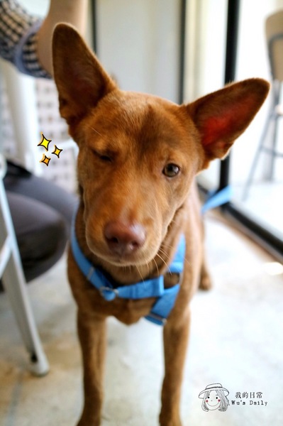 cm20170413___e21e29ce0c41c1ca1d6fc9c5da2