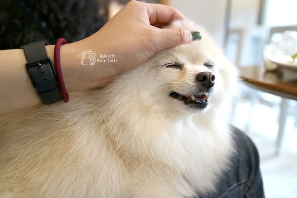 cm20170413___7899b27ff4df9bac1a99a729859