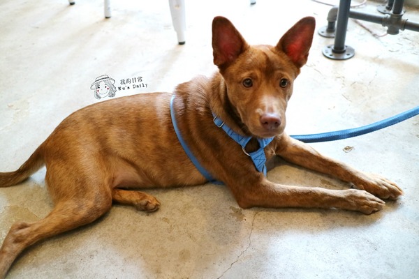 cm20170413___cb59ade32fb4b987149e9f9455f