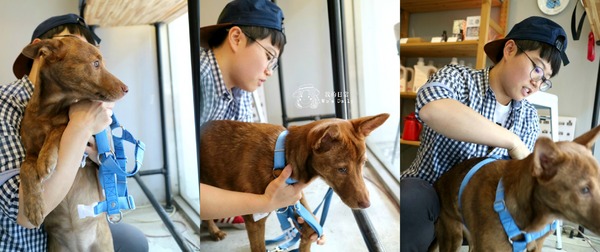 cm20170413___a071e2cbc4b9075b205dd2f084f