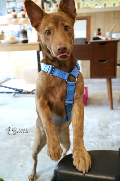 cm20170413___5b84bf2d739988a5bd6fa3e6c35