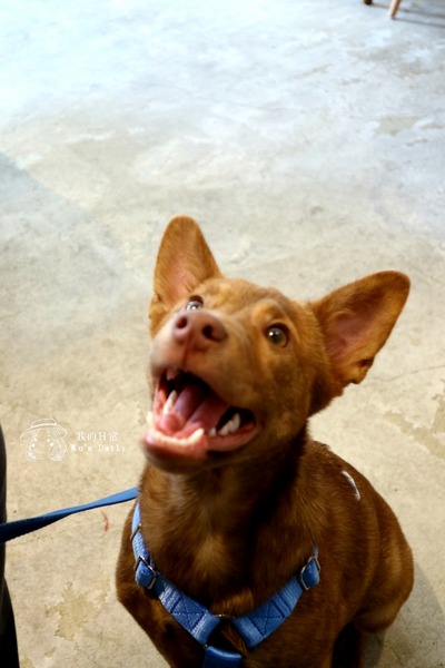 cm20170413___609eac204d3d8c3400b3c71ba58