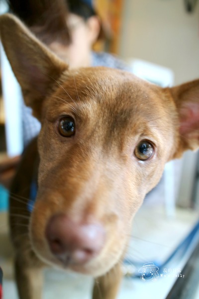 cm20170413___c40c40043490ca7ab163e9c8cee