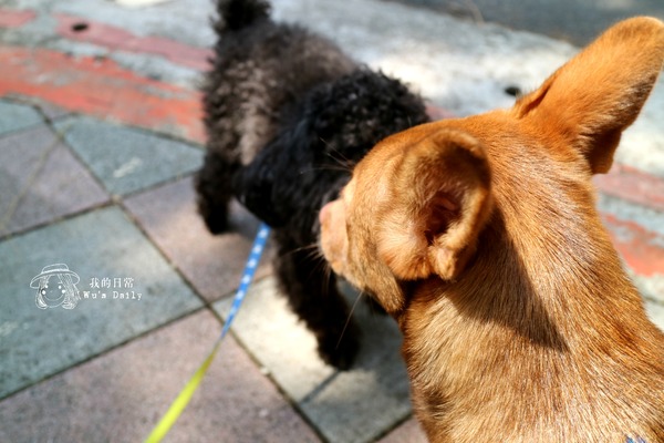 cm20170413___9c92785ceffd36b2ca6cb6b5073