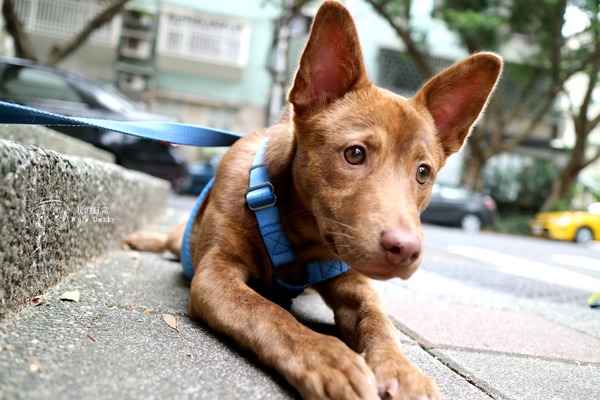 cm20170413___f56431cd519e024d4188dc0d14a